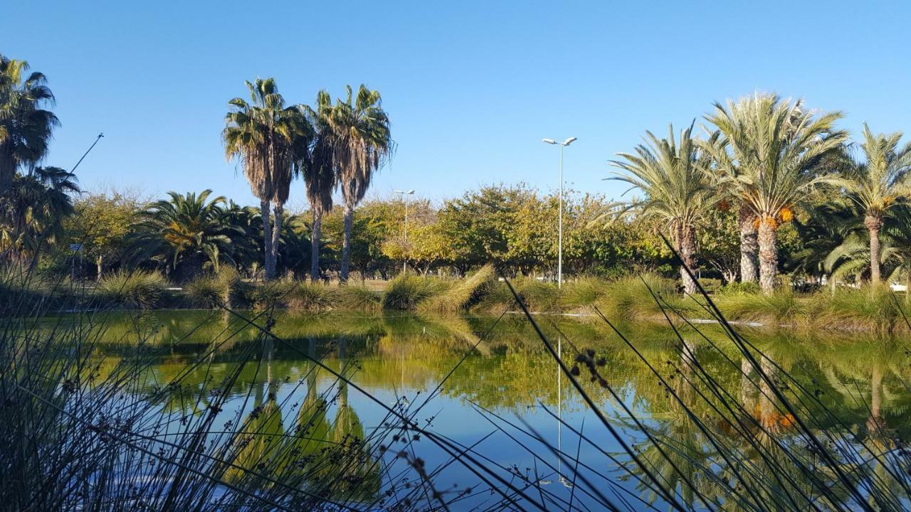Sol Y Playa En San Juan Alicante Dış mekan fotoğraf